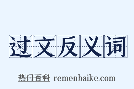 过文反义词是什么意思的图片